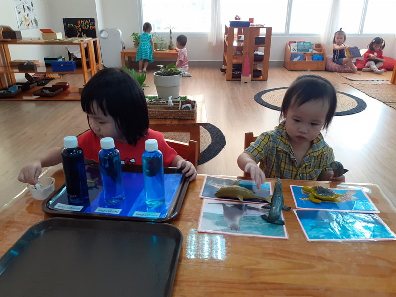 Montessori International School of Vietnam- Citypassguide.com